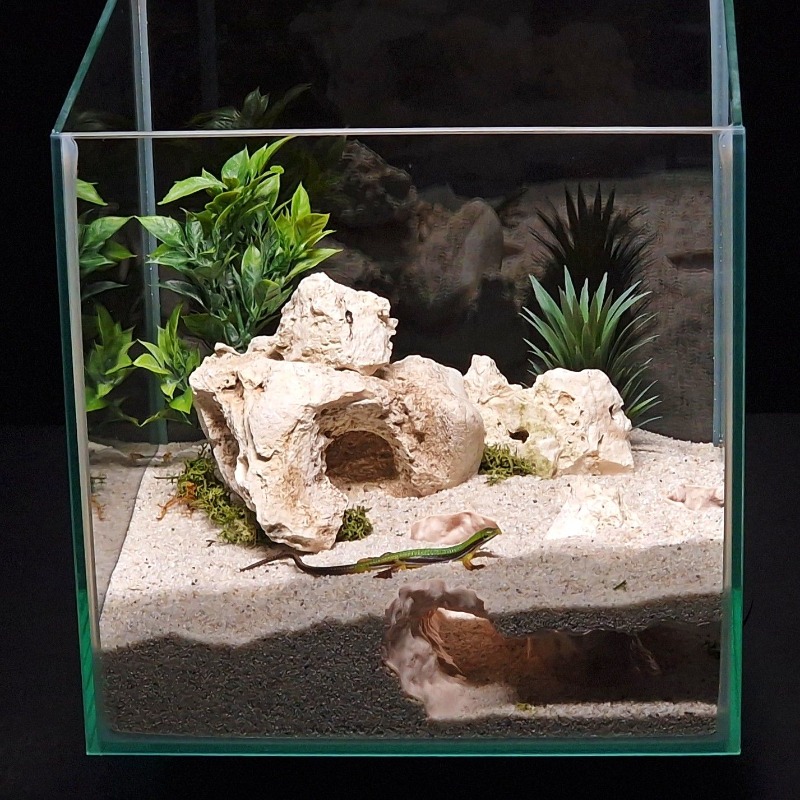 3DPrinted Fish Tank Tunnel She - đánh giá và giá 3D Printing Lizard