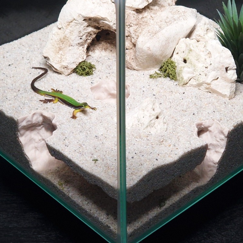 3DPrinted Fish Tank Tunnel She - đánh giá và giá 3D Printing Lizard