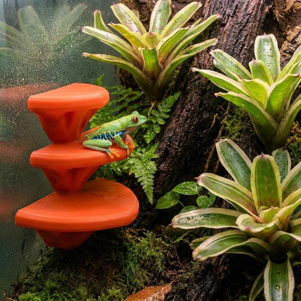 3D Printed Mushroom Shaped Pet - đánh giá và giá 3D Printing Lizard